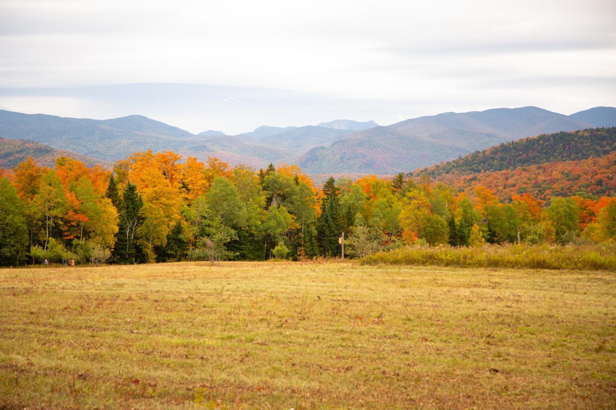 Lake Placid Inn Boutique Hotel 外观 照片